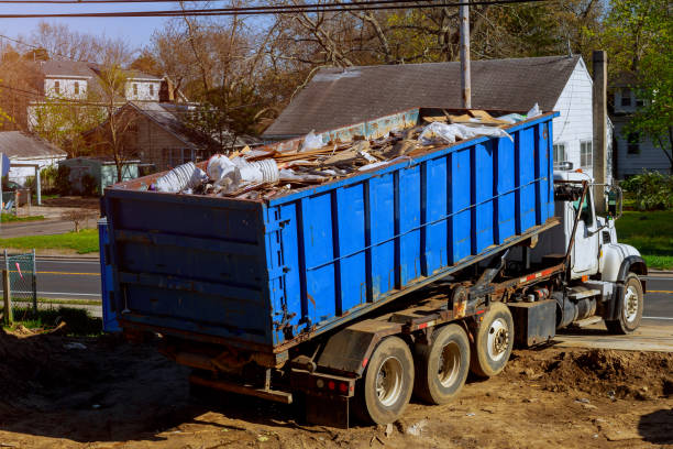 Best Shed Removal  in Rodney Village, DE