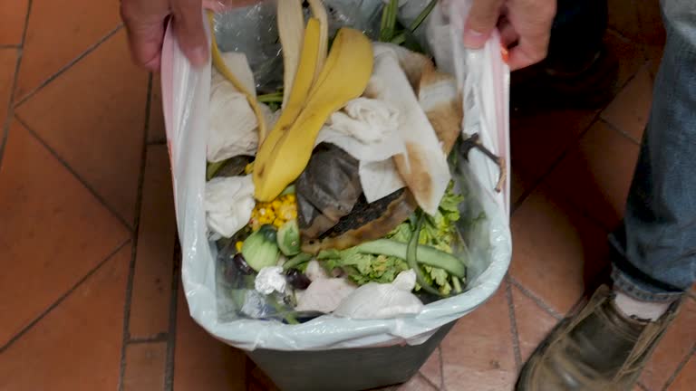 Best Appliance Removal  in Rodney Village, DE